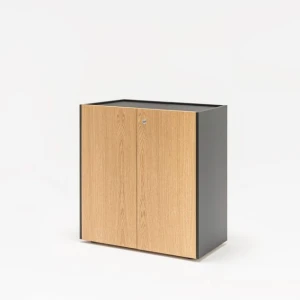 Szafka gabinetowa MDD Viga V24