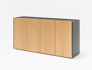 Szafka gabinetowa MDD Viga V25
