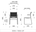 555v-555v-2p.jpg