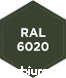 img-ral-6020.png